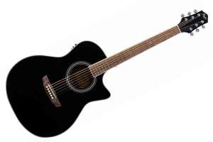 Изображение Flight AG-210 CEQ BK
