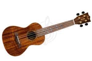 Изображение Flight DUC445 ACACIA