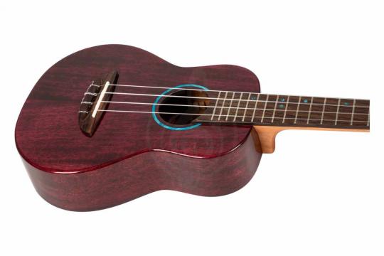 Укулеле концерт FLIGHT IRIS Tinta Concert TPP - Укулеле концерт - фото 6