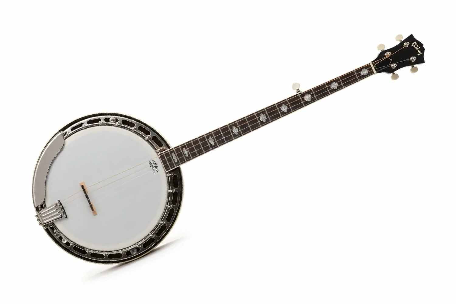 Банджо Foix BJ-1 - Банджо - фото 1