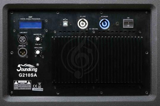  G210SA Сабвуфер активный, элемент линейного массива, Soundking - фото 2
