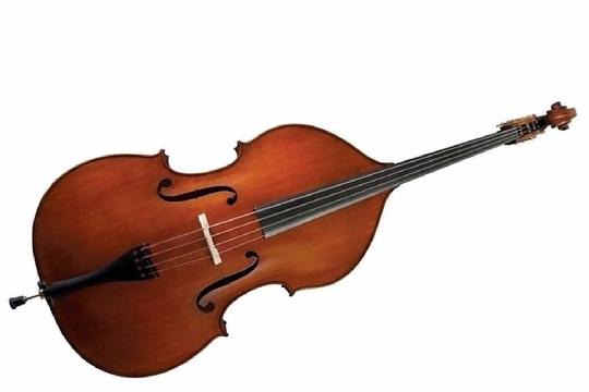 Изображение Контрабас 4/4 GEWA Double Bass Premium Line 4/4 Solid Top