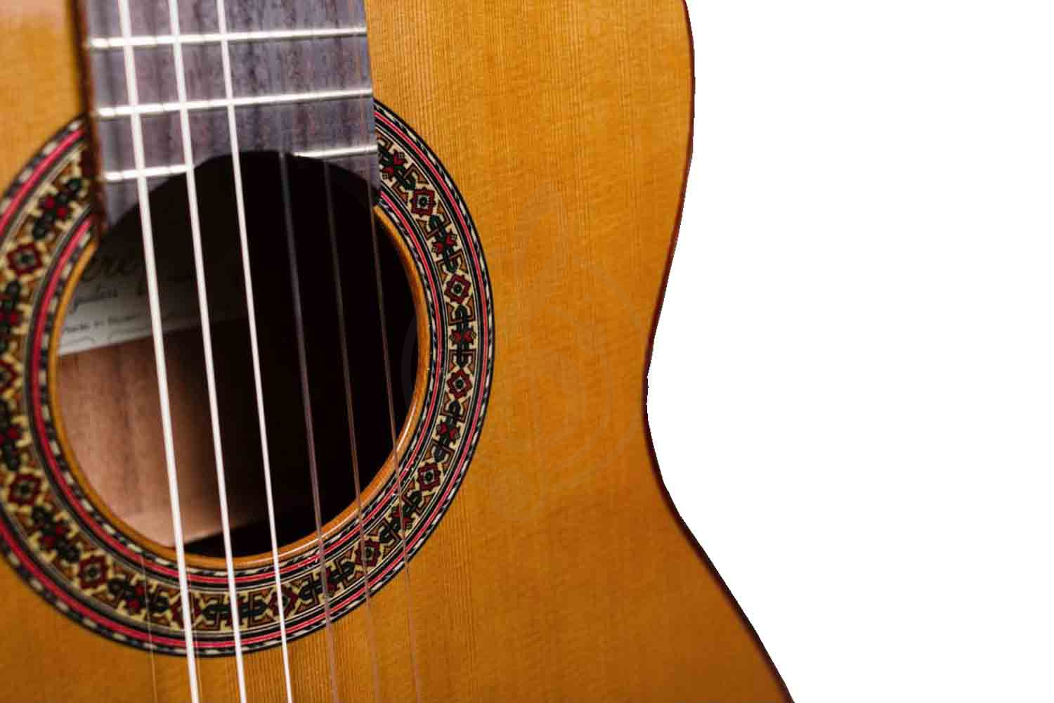 Гитара Perez 630 CEDAR - фото 2 Классическая гитара 4/4 Гитара Perez 630 CEDAR - фото 2