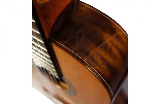 Гитара Perez 630 CEDAR - фото 4 Классическая гитара 4/4 Гитара Perez 630 CEDAR - фото 4