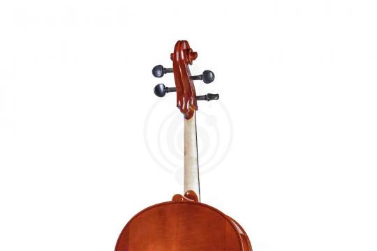 Gliga B-C044-L Beginer Genial 2 Nitro Laminated - Виолончель 4/4 - фото 2 Виолончель 4/4 Gliga B-C044-L Beginer Genial 2 Nitro Laminated - Виолончель 4/4 - фото 2