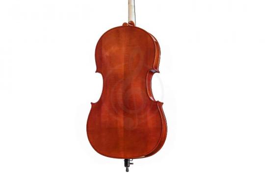 Gliga B-C044-L Beginer Genial 2 Nitro Laminated - Виолончель 4/4 - фото 3 Виолончель 4/4 Gliga B-C044-L Beginer Genial 2 Nitro Laminated - Виолончель 4/4 - фото 3