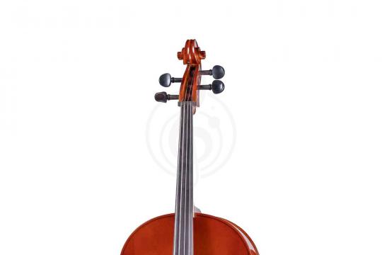 Gliga B-C044-L Beginer Genial 2 Nitro Laminated - Виолончель 4/4 - фото 5 Виолончель 4/4 Gliga B-C044-L Beginer Genial 2 Nitro Laminated - Виолончель 4/4 - фото 5
