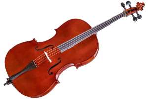 Изображение Gliga B-C044-L