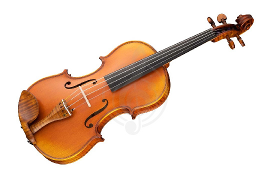 Скрипка 4/4 Gliga PG-V044-A Professional Gama Genova - Скрипка 4/4 - фото 1