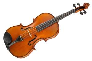 Изображение Gliga PS-V165 Professional Gama super - Альт