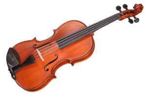 Изображение Gliga S-V155 Student Genial 1 Oil - Альт