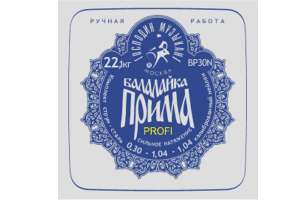 Изображение Господин Музыкант BP30N