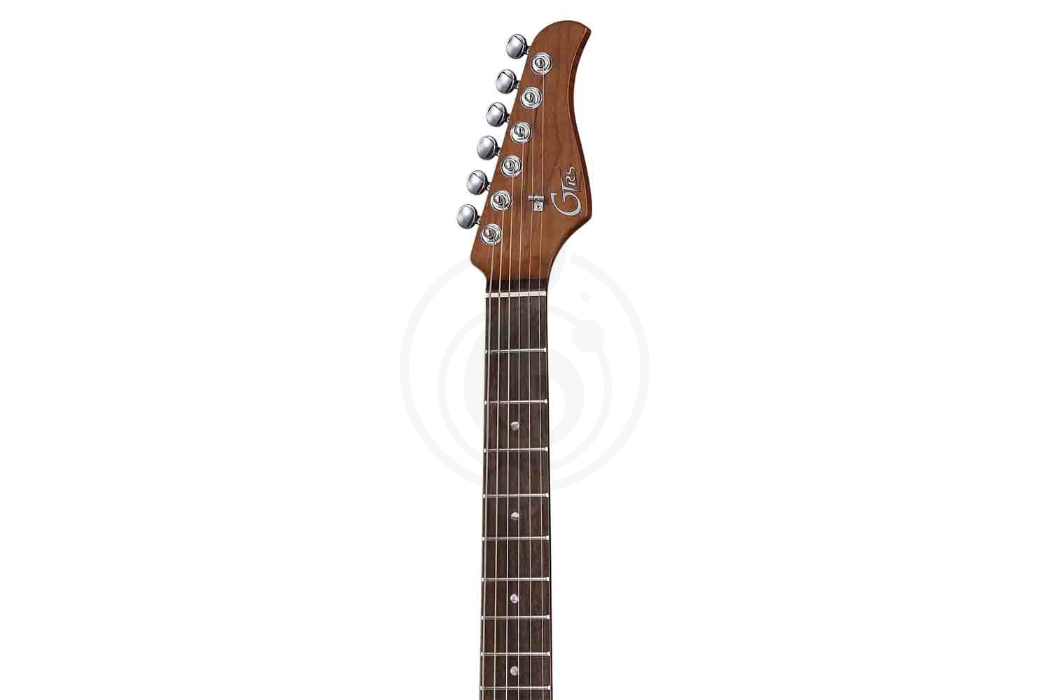 Электрогитара Stratocaster GTRS P800-Professional-800-DS - Электрогитара - фото 4