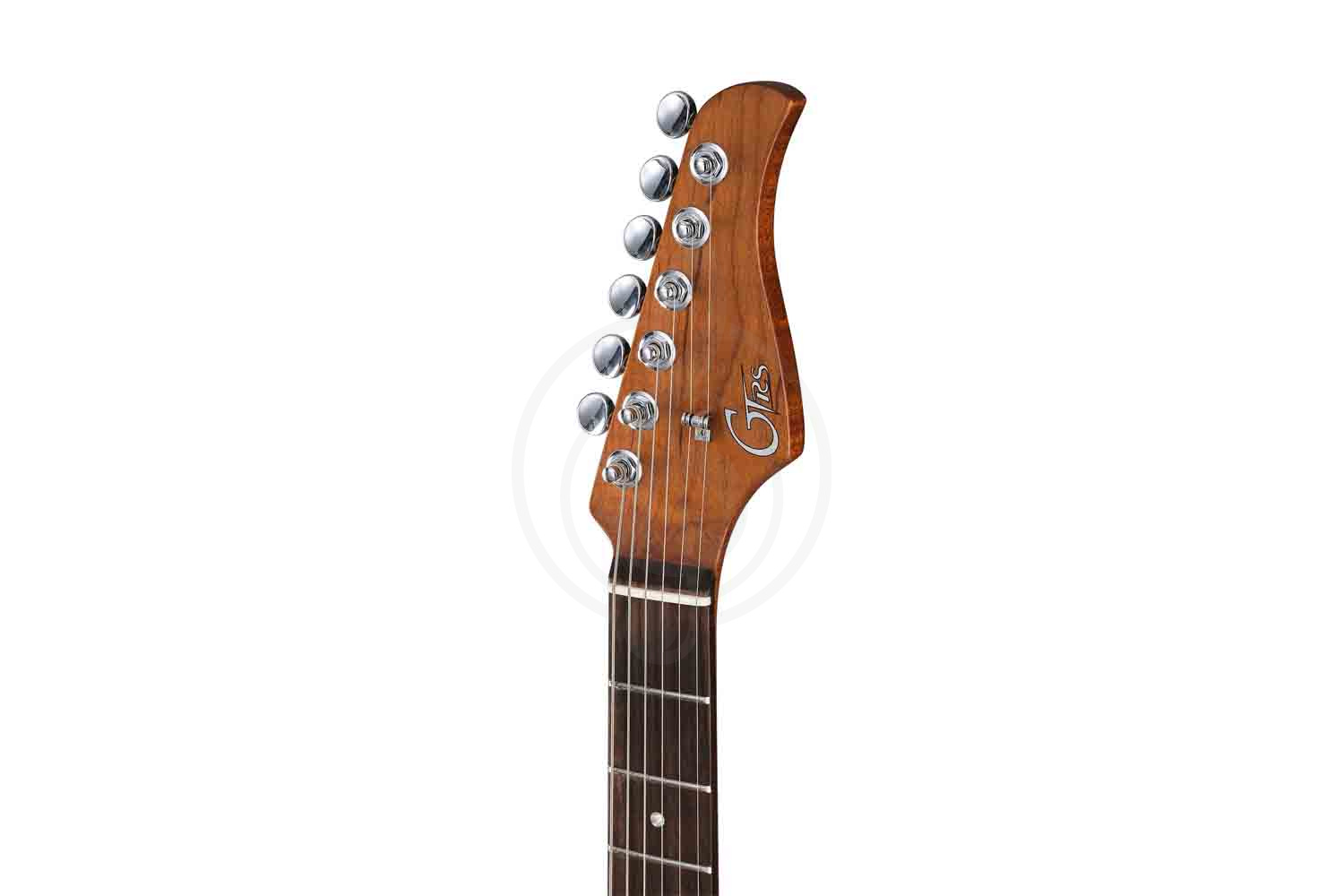 Электрогитара Stratocaster GTRS P800-Professional-800-DS - Электрогитара - фото 7