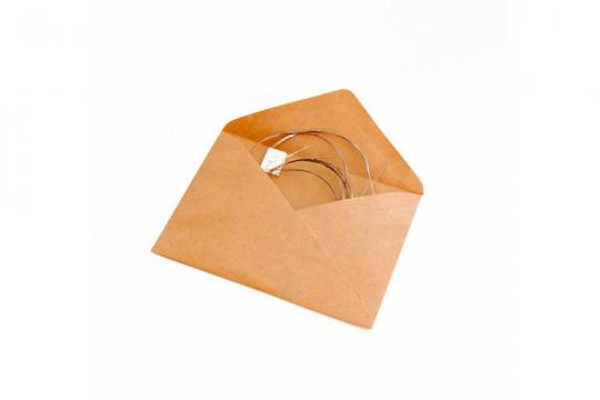 Струны для гуслей Гусельник GU-72.63.07.00000 - Комплект струн для Лиры - фото 3