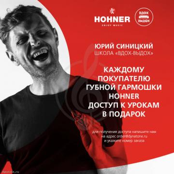 Диатоническая губная гармошка HOHNER Marine Band Deluxe 2005/20 A - Губная гармоника диатоническая Хонер - фото 2