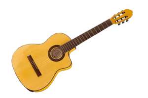 Изображение Hora N1105CTW Flamenco CTW - Классическая гитара