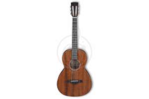 Изображение Ibanez AVN9-OPN