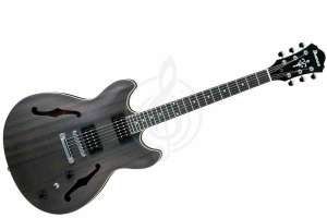 Изображение Ibanez AS53-TKF