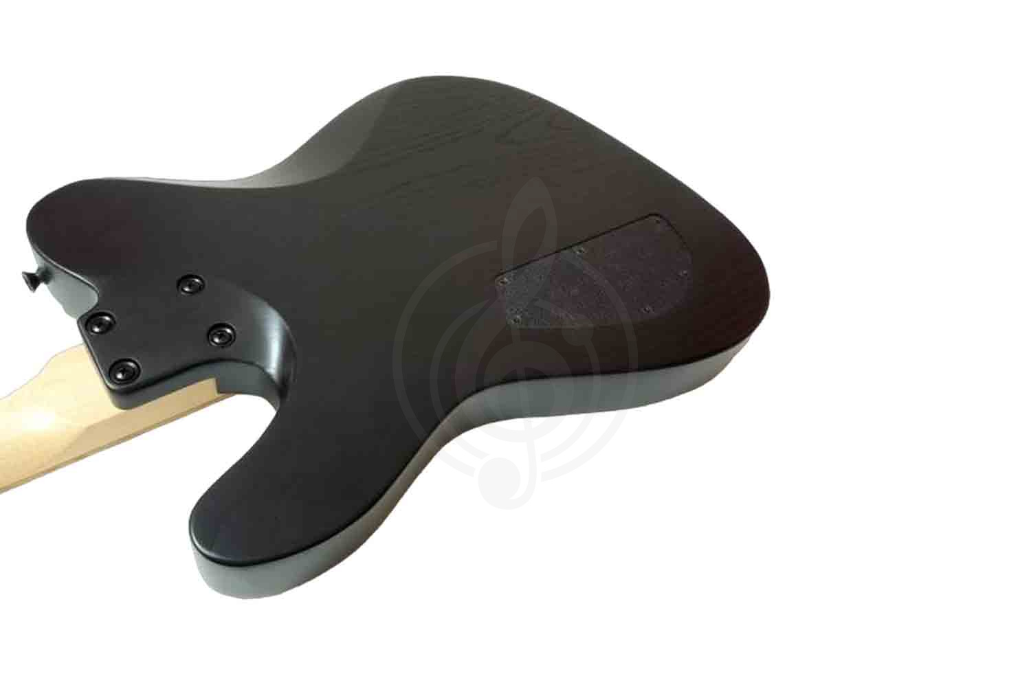 Электрогитара Telecaster Inspector TT-3-black - Электрогитара, черная - фото 2