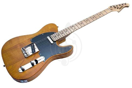 Изображение Электрогитара Telecaster Inspector TT-9-nat