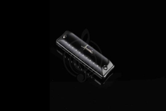 Диатоническая губная гармошка JDR Assassin-D - Губная гармошка - фото 9