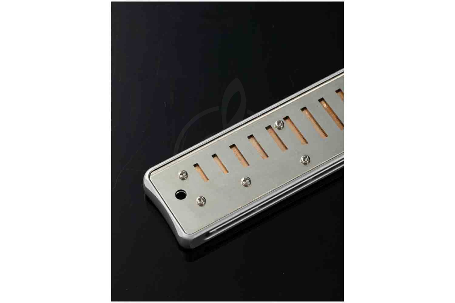 Диатоническая губная гармошка JDR Assassin-Pro-A - Губная гармошка - фото 5