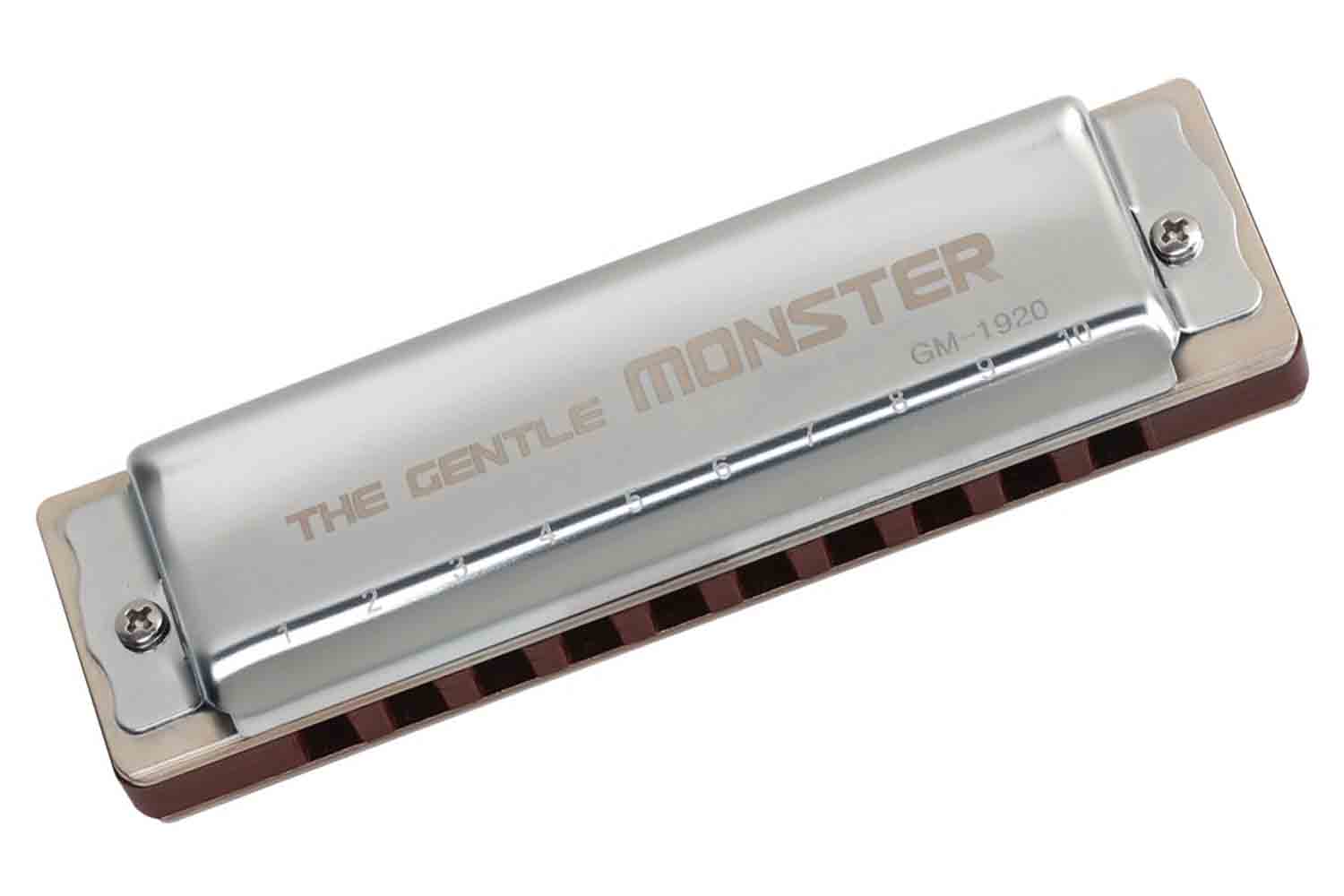 Диатоническая губная гармошка JDR GM-1920A Gentle Monster - Губная гармошка - фото 1