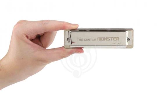 Диатоническая губная гармошка JDR GM-1920C Gentle Monster - Губная гармошка - фото 17