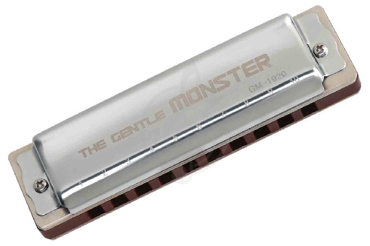 Диатоническая губная гармошка JDR GM-1920C Gentle Monster - Губная гармошка - фото 1