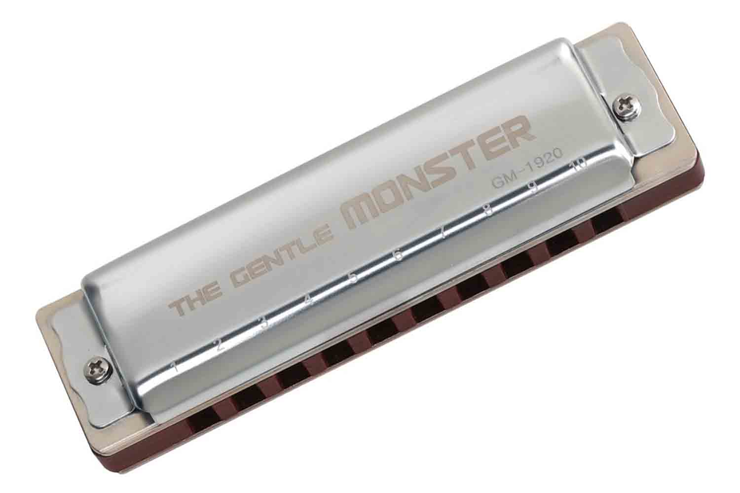 Диатоническая губная гармошка JDR GM-1920D Gentle Monster - Губная гармошка - фото 1