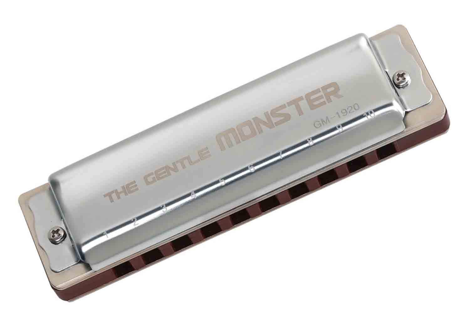 Диатоническая губная гармошка JDR GM-1920G Gentle Monster - Губная гармошка - фото 1