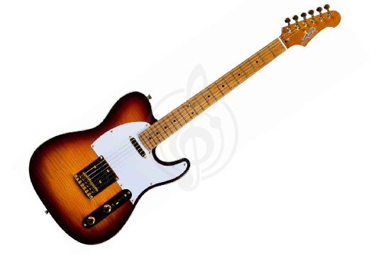 Электрогитара Telecaster JET JT-600 BS G - Электрогитара - фото 1