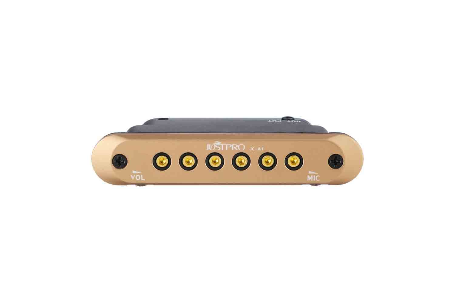 Звукосниматель для акустической гитары Justpro JC-A1-Chameleon - Звукосниматель для акустической гитары - фото 1