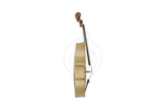 Виолончель 4/4 KINGLOS HSDT-010 4/4 - Виолончель - фото 2