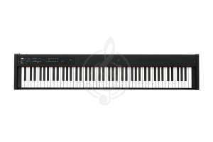 Изображение Korg D1
