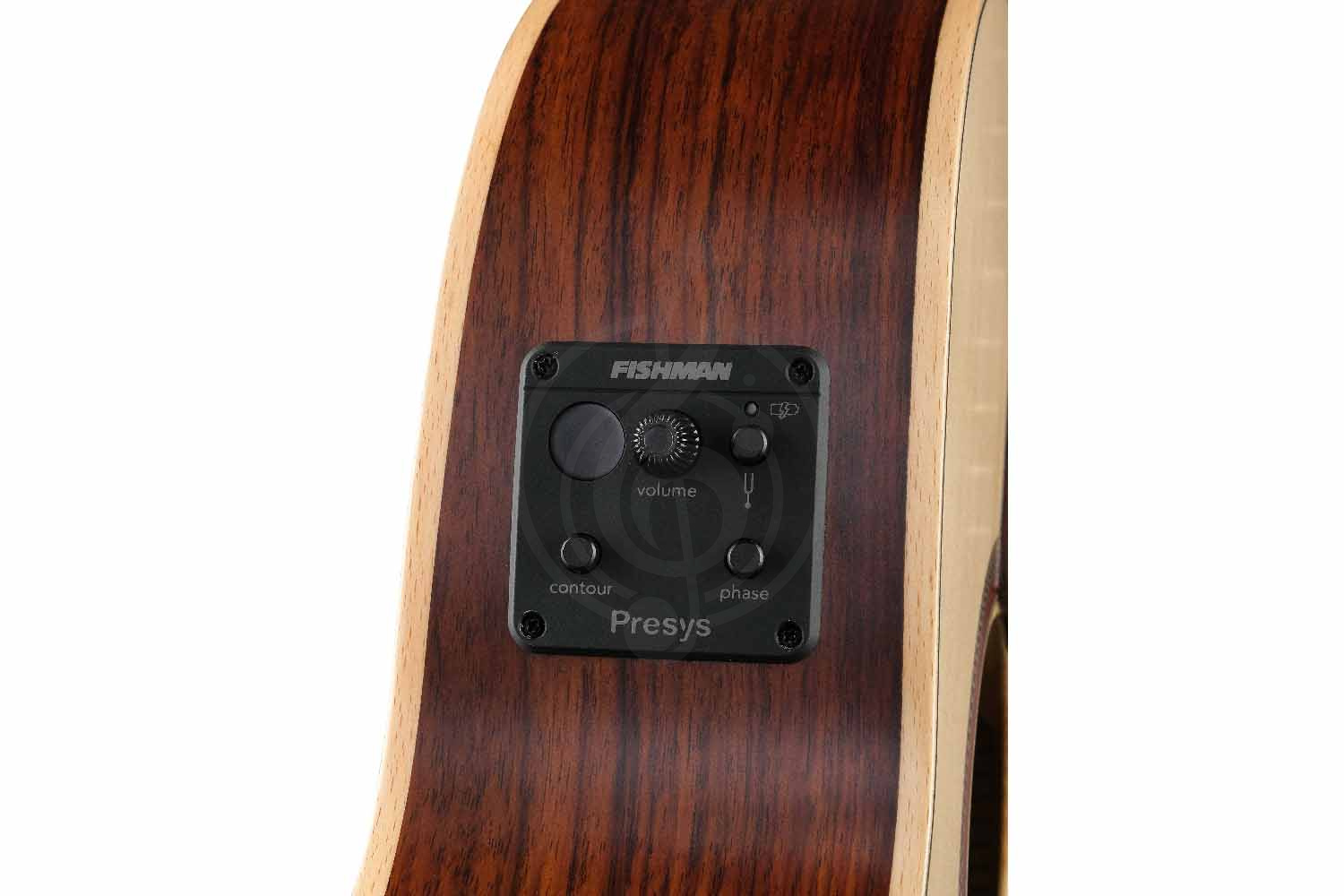 Электроакустическая гитара Kremona F16E Steel String Series - Электро-акустическая гитара - фото 2