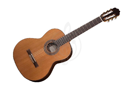 Классическая гитара 4/4 Kremona F65C Cedar Fiesta Soloist Series - Классическая гитара - фото 1