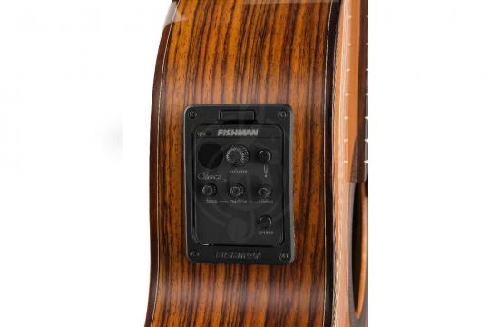 Электроакустическая гитара Kremona F65CW Performer Series Fiesta - Электро-акустическая гитара - фото 2