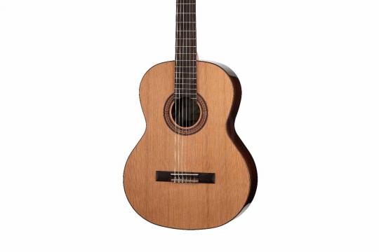 Классическая гитара 4/4 Kremona Fiesta-FC-w/case Cedar Artist Series - Классическая гитара - фото 11
