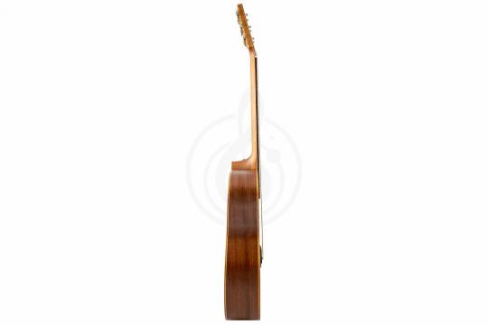 Электроакустическая гитара Kremona M25ME-CW-w/case Steel-String Series - Электроакустическая гитара - фото 11