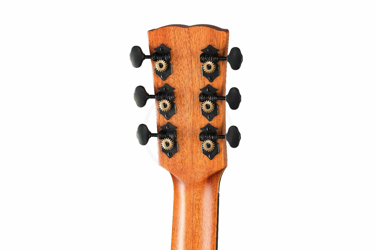 Акустическая гитара Kremona R35C Steel String Series - Акустическая гитара - фото 2