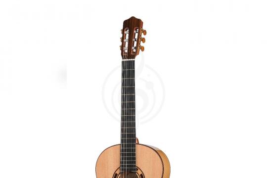 Классическая гитара 4/4 Kremona RB Rosa Blanca Flamenco Series - Классическая гитара - фото 3