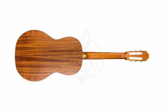 Классическая гитара 3/4 Kremona S58C-OP Soloist Series - Классическая гитара - фото 2