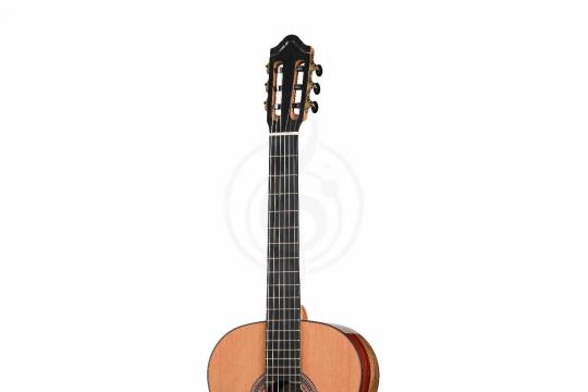 Классическая гитара 4/4 Kremona SOLEA-SA-C-w/case Artist Series Solea - Классическая гитара - фото 7