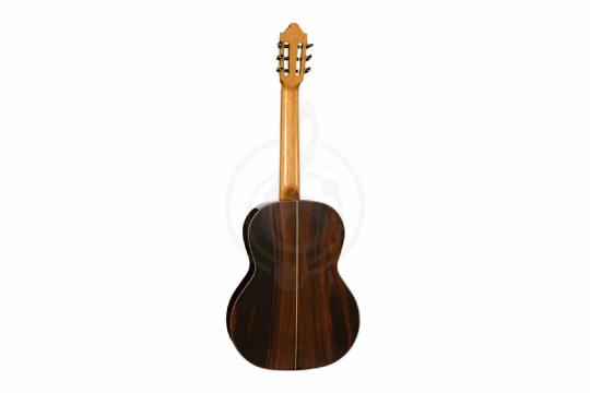 Классическая гитара 4/4 Kremona SOLEA-SA-C-w/case Artist Series Solea - Классическая гитара - фото 16