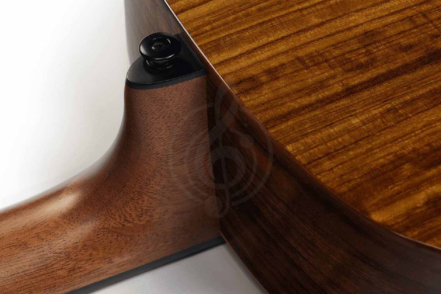 LAG T-318A - Гитара акустическая - фото 7 Акустическая гитара LAG T-318A - Гитара акустическая - фото 7