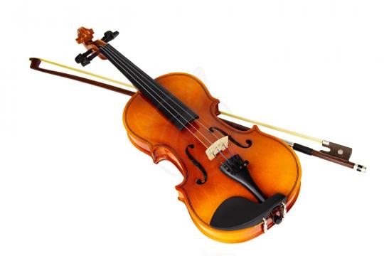 Скрипка 1/8 Livingstone L-VP01 1/8 - Скрипка 1/8 - фото 2