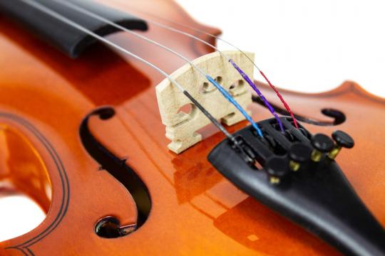 Скрипка 1/8 Livingstone L-VP01 1/8 - Скрипка 1/8 - фото 4