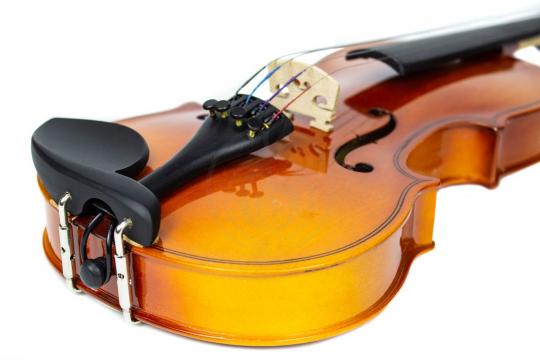 Скрипка 1/8 Livingstone L-VP01 1/8 - Скрипка 1/8 - фото 5